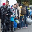 Uchodźcy napływają do Niemiec bezustannie w tempie około 7 tys. osób na dobę. Na zdjęciu kolejka na 
