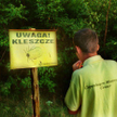 Kleszcze wspinają się coraz wyżej