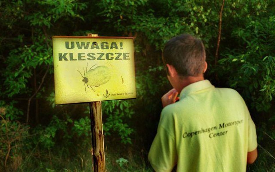 Kleszcze wspinają się coraz wyżej