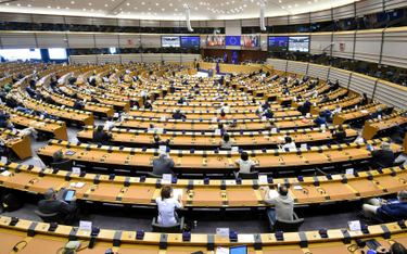 Europarlament za swoją misję uważa obronę demokracji w Polsce