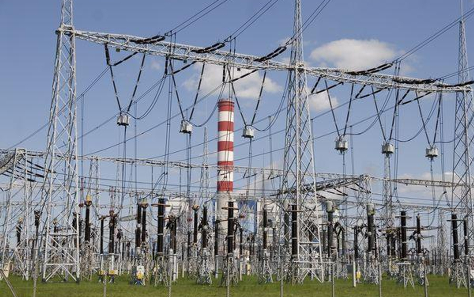 Elektrownia w Kędzierzynie może kosztować 0,8 mld zł