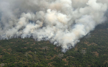Prezydent USA Donald Trump chce pomóc gasić pożary w Amazonii