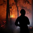 Walka z pożarem w lesie Fontainebleau trwała od weekendu