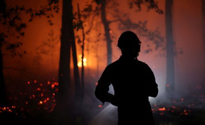 Walka z pożarem w lesie Fontainebleau trwała od weekendu