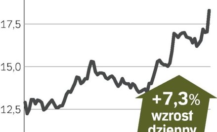 Pomogło ożywienie w reklamie