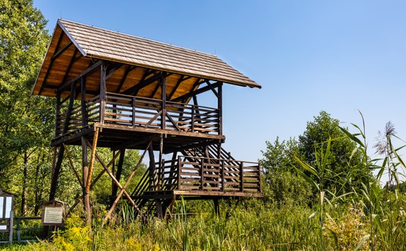 Wieża widokowa na ścieżce dydaktycznej ułatwia obserwacje ornitologiczne