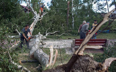 Według szacunków nawałnice zniszczyły ponad 44 tys. hektarów lasów