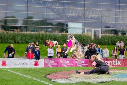 Program wydarzenia obejmuje różnorodne konkurencje dogfrisbee