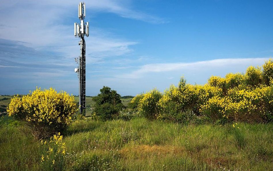 Stacja telefonii komórkowej miała powstać bez decyzji - wyrok WSA