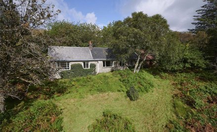 Dom z własną wyspą. I ten widok wart każdych pieniędzy