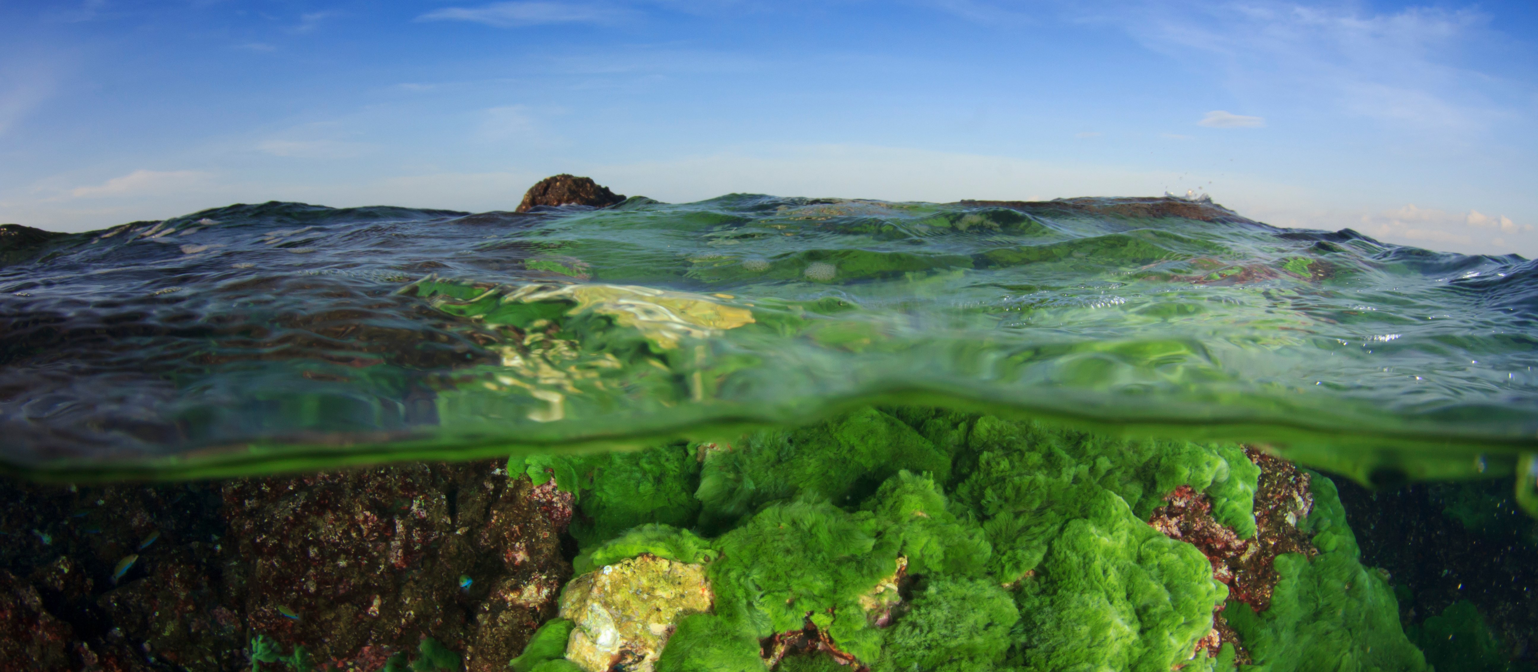 Niepokojące zjawisko związane z ociepleniem mórz. „Przełomowe" wyniki nowego badania