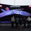 Brontanax. Bezzałogowy samolot bojowy od BAE Systems