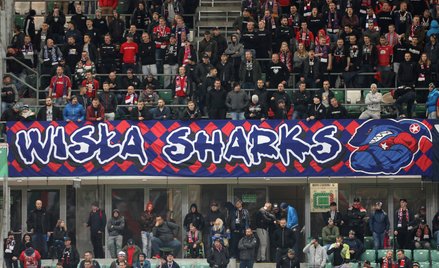 Według nieoficjalnych informacji zatrzymany należał do grupy Wisła Sharks