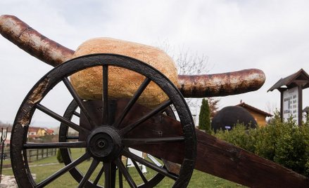 Niemcy: Nie będzie muzeum kiełbasy na terenie byłego obozu koncentracyjnego