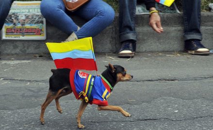 Święto na ulicach Bogoty