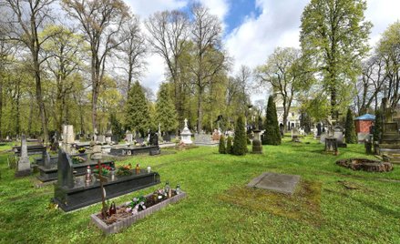 Walczyli o niepodległą