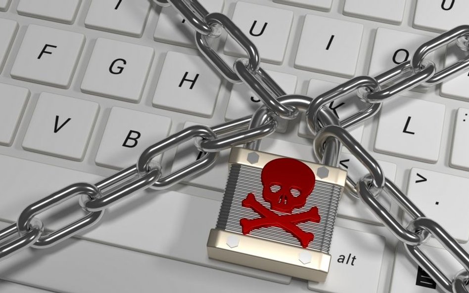 Cyberprzestępczy rekord padnie w tym roku