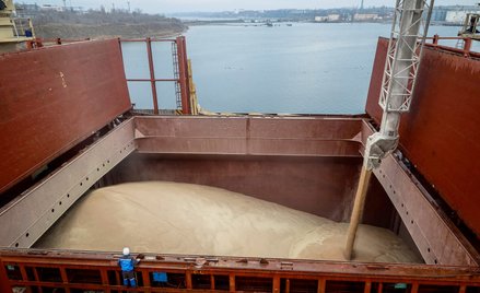 Po wybuchu wojny zapanował strach, że spichlerz Europy spłonie, co pociągnie falę głodu na świecie