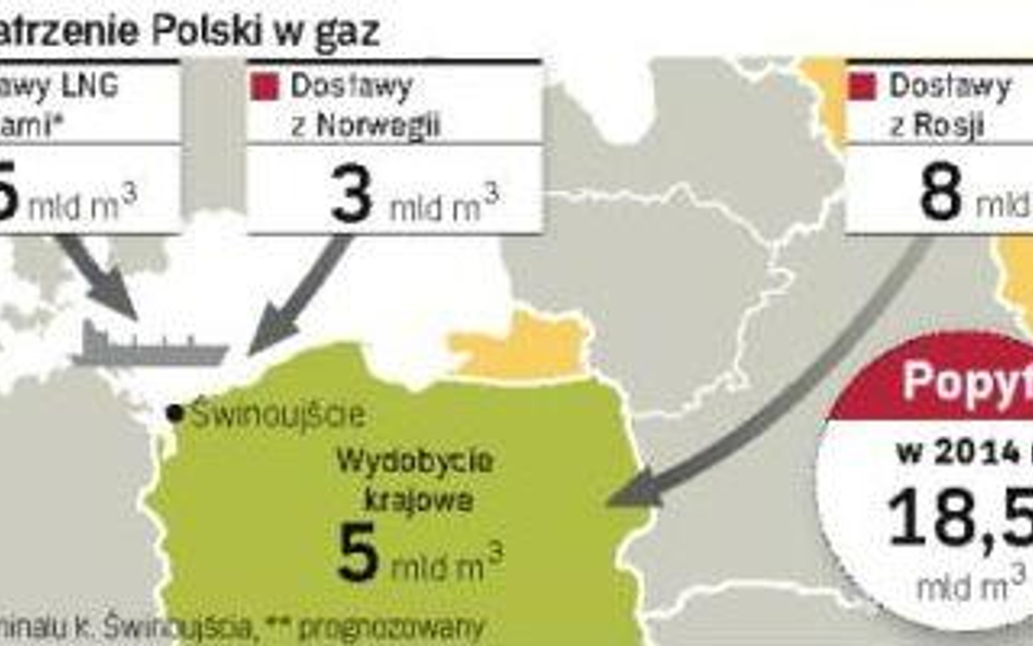 Polska planuje dwa duże projekty dywersyfikacyjne. Terminal LNG i rurociąg z Danii ograniczą zależno