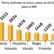 Najwięcej projektów elektrowni wiatrowych powstaje w Niemczech. Obok Szwecji i Wielkiej Brytanii będ