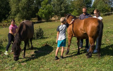 Ekoturystyka Pod Srebrną Górą. Kontakt ze zwierzętami hodowlanymi to atut wypoczynku na wsi (fot. Ja