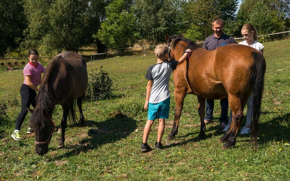 Ekoturystyka Pod Srebrną Górą. Kontakt ze zwierzętami hodowlanymi to atut wypoczynku na wsi (fot. Ja