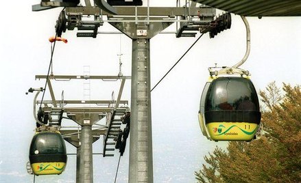 Las na Szyndzielni zostaje