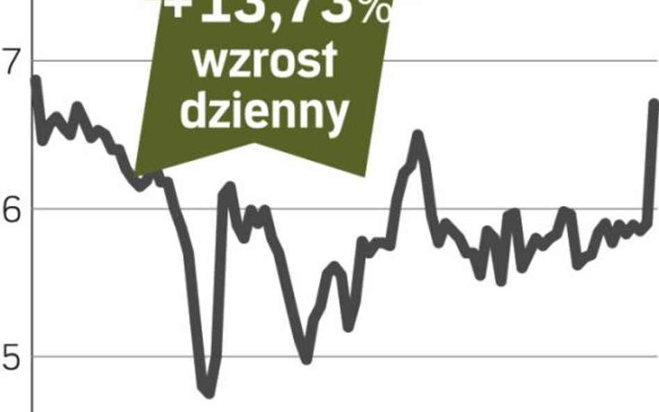 Kurs akcji Pekaesu mocno zyskiwał na wartości
