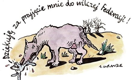 Komentarz rysunkowy. Przyjęcie do wilczej Federacji