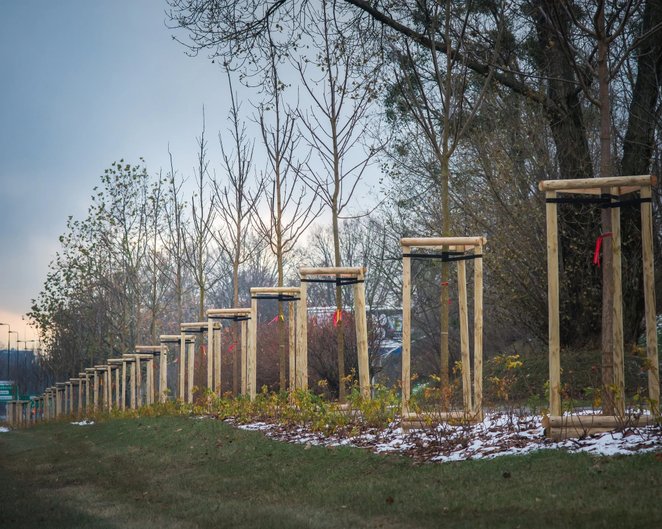 Dzięki spójnym wytycznym dla jednostek miejskich odpowiedzialnych za realizację inwestycji i utrzyma