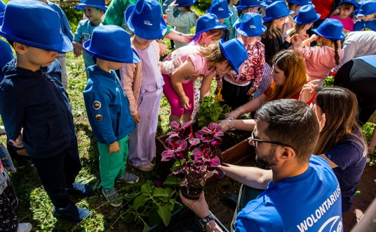 Enea kwiaty dla pszczół