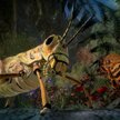Varsav Game Studios: Pokaz podbił kurs
