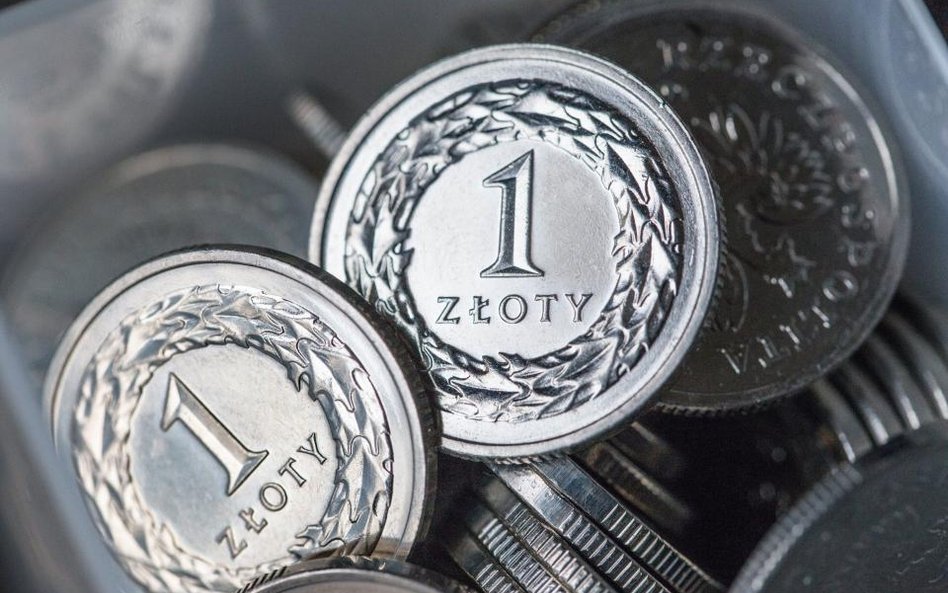 Złoty łapie oddech