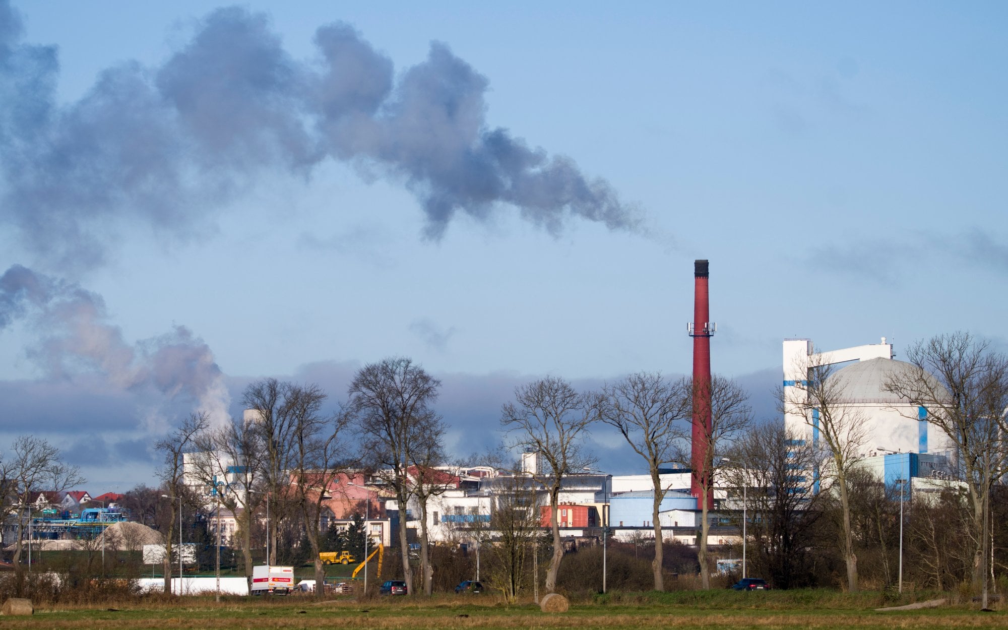 Cierpią nie tylko serce i płuca. Zanieczyszczone powietrze szkodzi też pracy mózgu