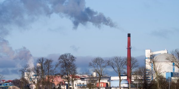 Cierpią nie tylko serce i płuca. Zanieczyszczone powietrze szkodzi też pracy mózgu