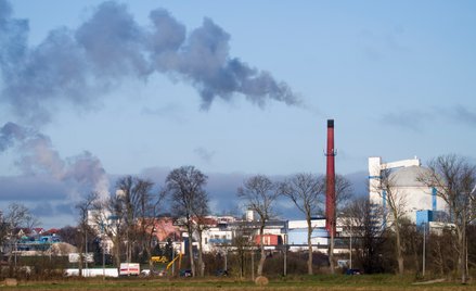 Zanieczyszczenie powietrza może bezpośrednio wpływać na mózg, wykazali kanadyjscy naukowcy