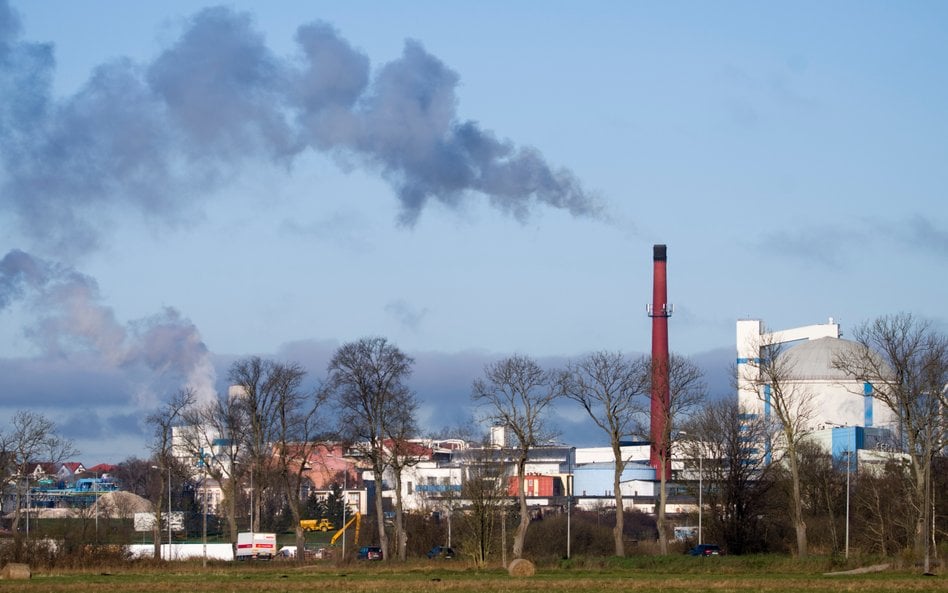 Zanieczyszczenie powietrza może bezpośrednio wpływać na mózg, wykazali kanadyjscy naukowcy