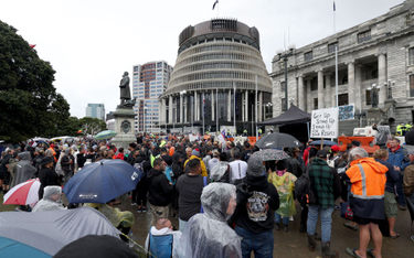 Protest przed parlamentem Nowej Zelandii