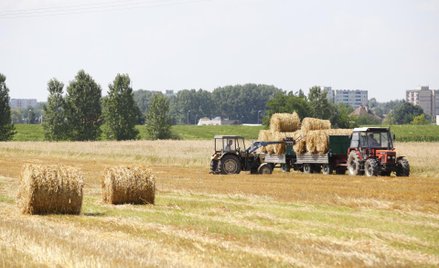 Od soboty ziemia rolna tylko dla rolnika - wchodzą w życie nowe przepisy