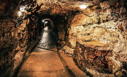 Tarnowskie Góry, Kopalnia srebra