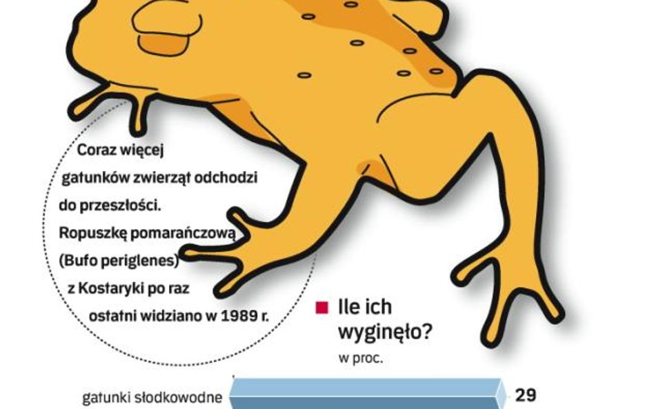 Szybkie wymieranie zwierząt