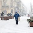 Naukowcy zbadali przyczyny aż 74 mln zgonów.
