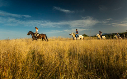 źródło Ranch Terra, fot. Rade Jug