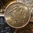 Niskie stopy procentowe zmienią strukturę wyników banków