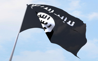 Bing tłumaczy "Daesh" jako "Arabia Saudyjska"