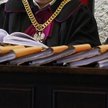 Themis, czyli sędziowska fronda
