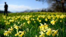 Weekend zapowiada się słonecznie, pogoda będzie sprzyjać spacerom