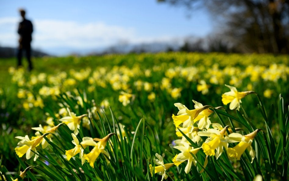 Weekend zapowiada się słonecznie, pogoda będzie sprzyjać spacerom