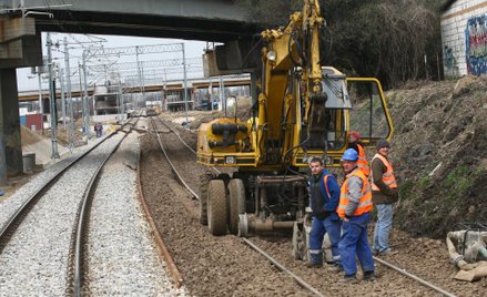 Pasy przeciwpożarowe to fragment terenu, który nie jest porośnięty żadną roślinnością i odgradza las