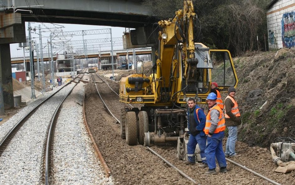 Pasy przeciwpożarowe to fragment terenu, który nie jest porośnięty żadną roślinnością i odgradza las